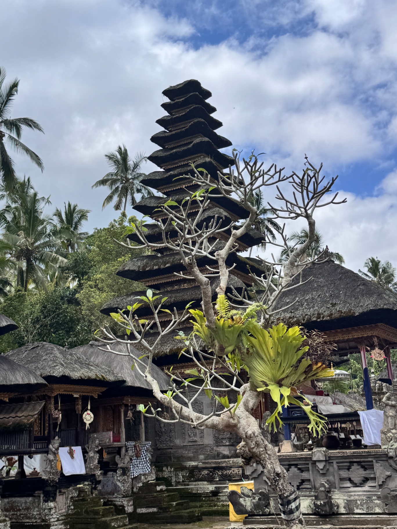 Meru tower rising above a frangipani tree in an Ubud temple courtyard