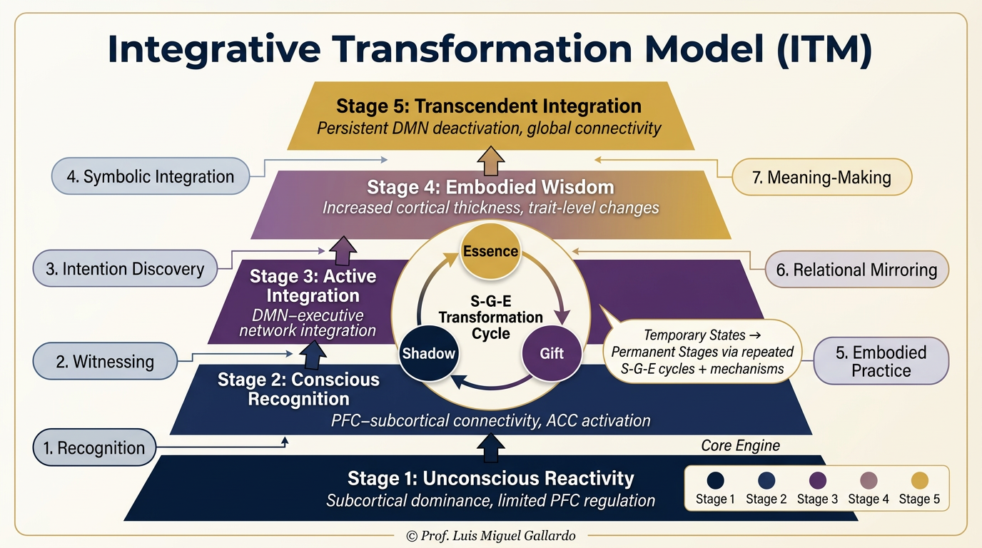 The Integrative Transformation Model map