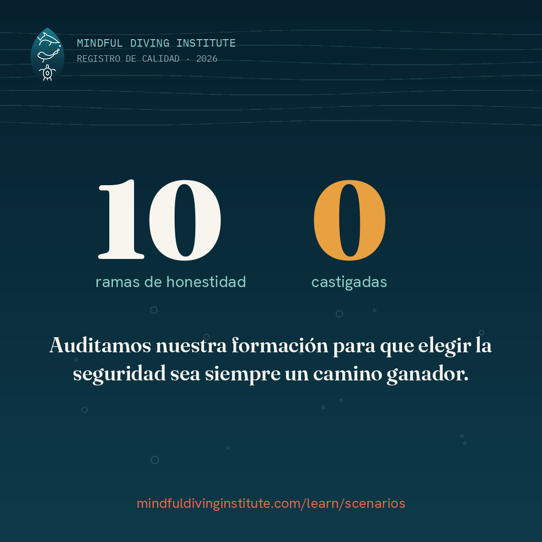 Diez ramas de honestidad, cero castigadas