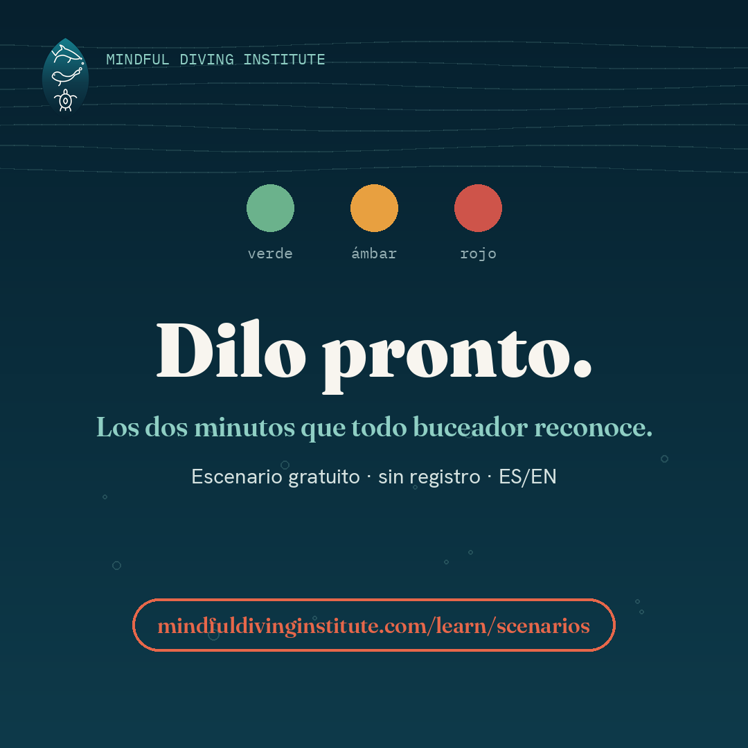Dilo pronto — La Palabra Ámbar