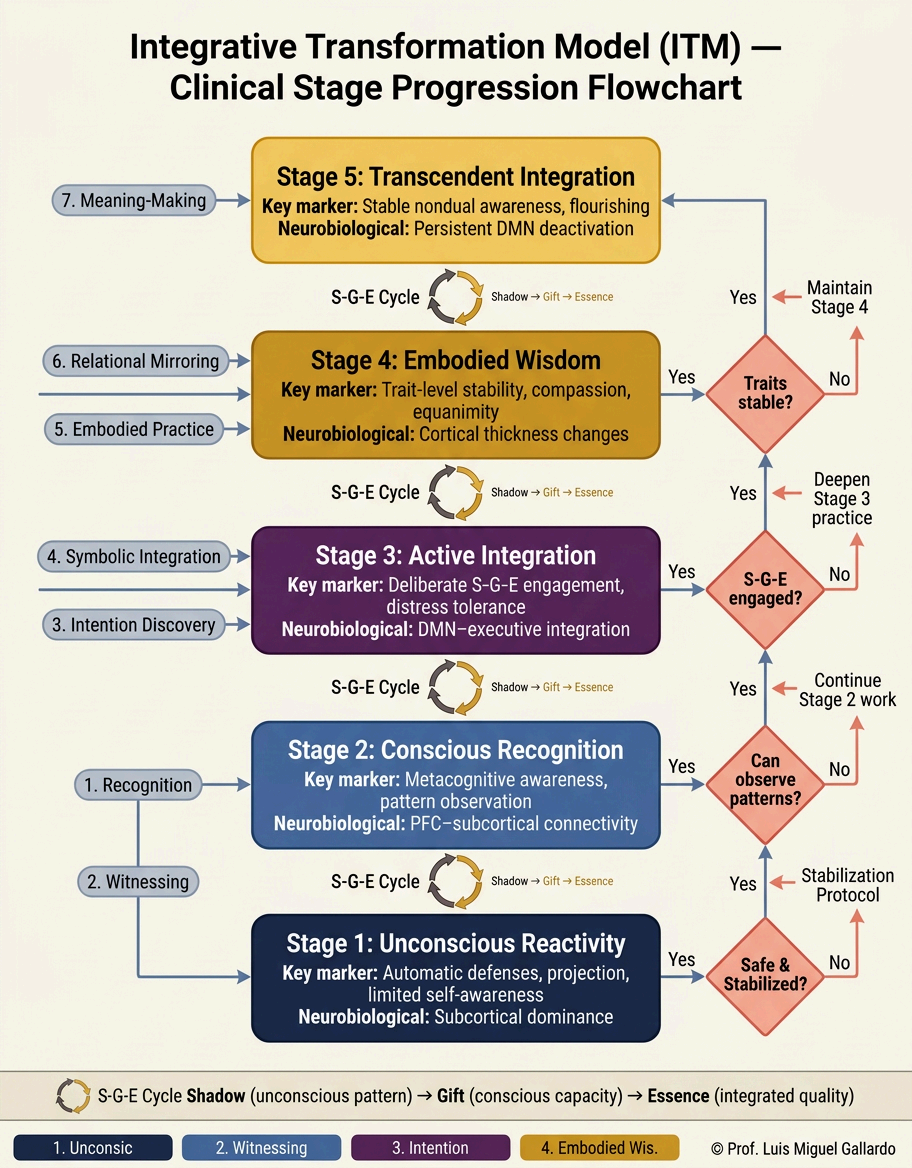 ITM clinical stage progression flowchart