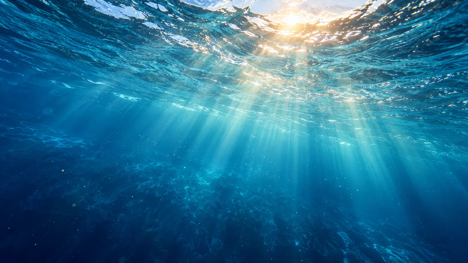 View beneath a rippled ocean surface, with golden sunlight streaming into deep blue water.
